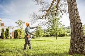 Best Storm Damage Tree Cleanup  in Susquehanna Trails, PA