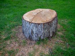 Best Tree Mulching  in Susquehanna Trails, PA
