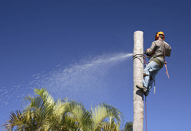 Best Lawn Pest Prevention  in Susquehanna Trails, PA