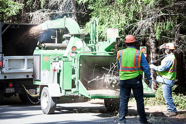 Best Weed Control  in Susquehanna Trails, PA