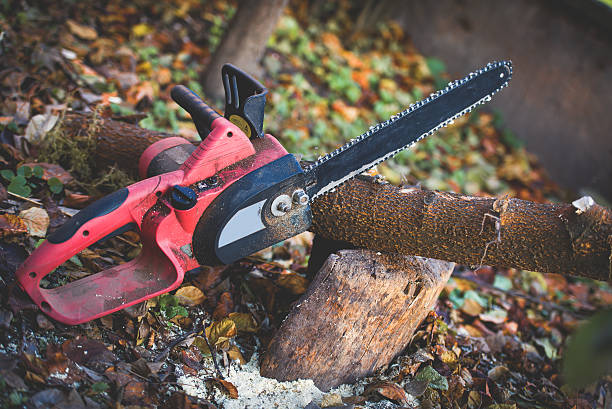 Best Lawn Disease Treatment  in Susquehanna Trails, PA